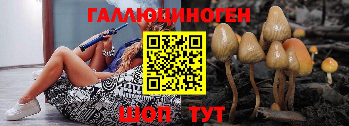 Галлюциногенные грибы прущие грибы Ноябрьск